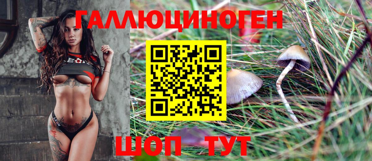 Псилоцибиновые грибы Psilocybine cubensis  Вход с VPN  Заринск 